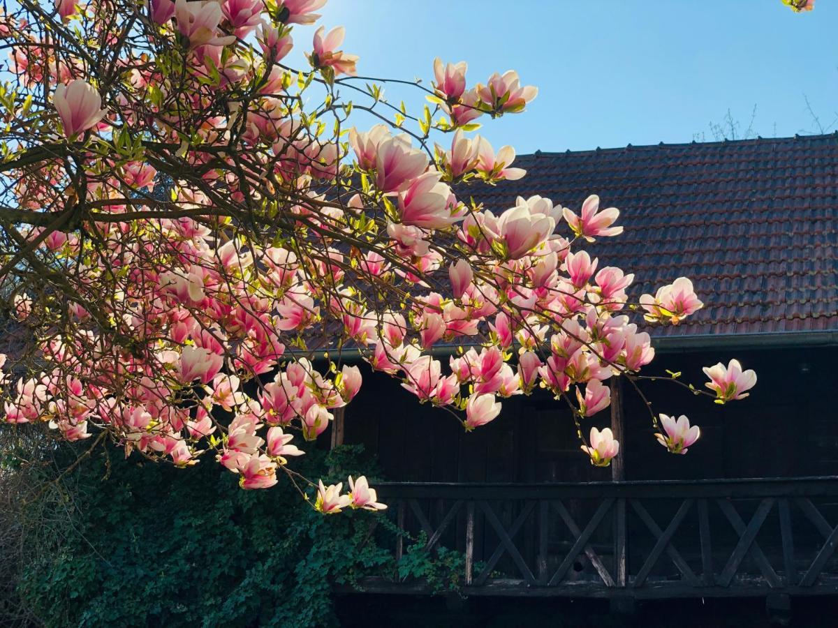 Landhaus Riedl บาดฟึสซิง ภายนอก รูปภาพ